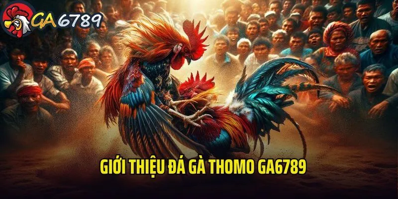 Giới thiệu về bộ môn đá gà Thomo GA6789 da-ga-thomo-ga6789-gioi-thieu