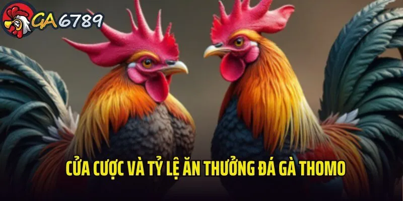 Lựa chọn đầu tư và tỷ lệ ăn cực khủng tại đấu trường Thomo da-ga-thomo-ga6789-lua-chon-dau-tu-va-ty-le-an